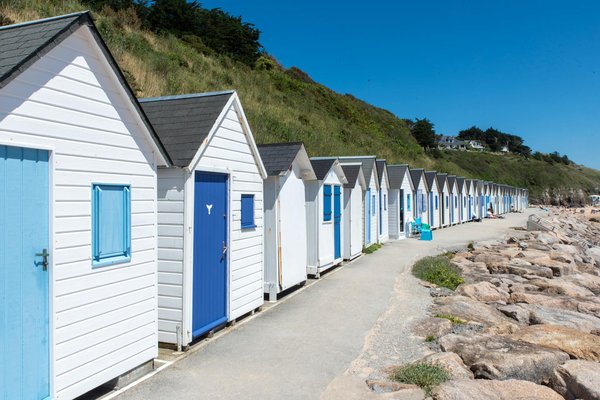 Observation des dauphins : une aventure en mer inoubliable